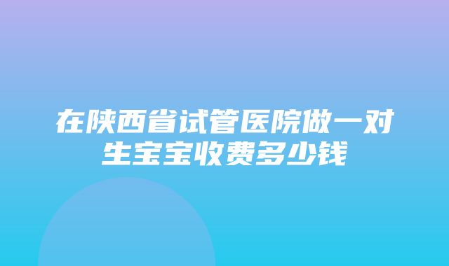 在陕西省试管医院做一对生宝宝收费多少钱