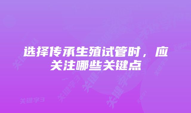 选择传承生殖试管时，应关注哪些关键点