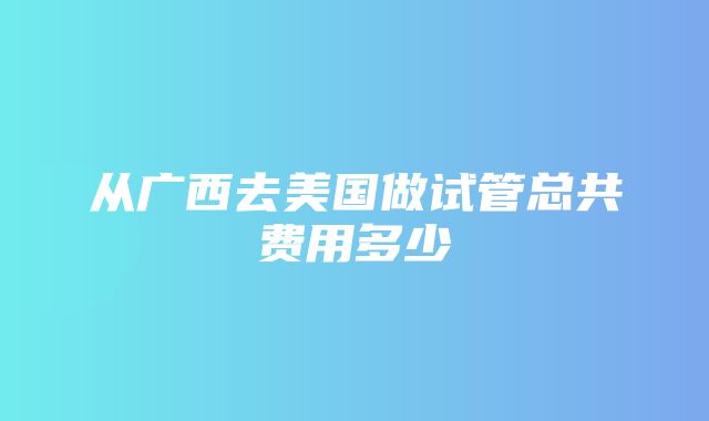 从广西去美国做试管总共费用多少