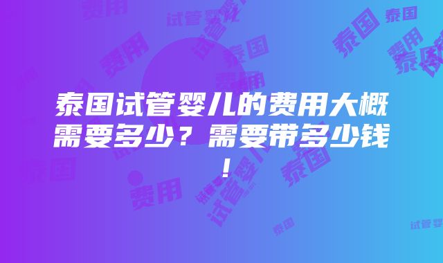 泰国试管婴儿的费用大概需要多少？需要带多少钱！