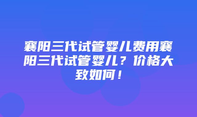 襄阳三代试管婴儿费用襄阳三代试管婴儿？价格大致如何！