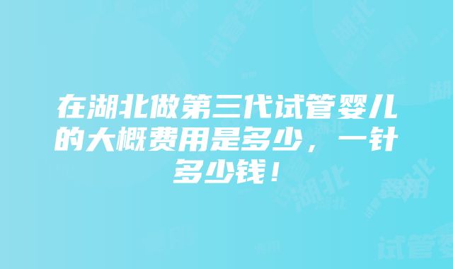 在湖北做第三代试管婴儿的大概费用是多少，一针多少钱！