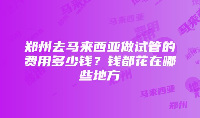 郑州去马来西亚做试管的费用多少钱？钱都花在哪些地方