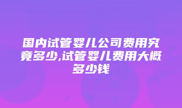 国内试管婴儿公司费用究竟多少,试管婴儿费用大概多少钱