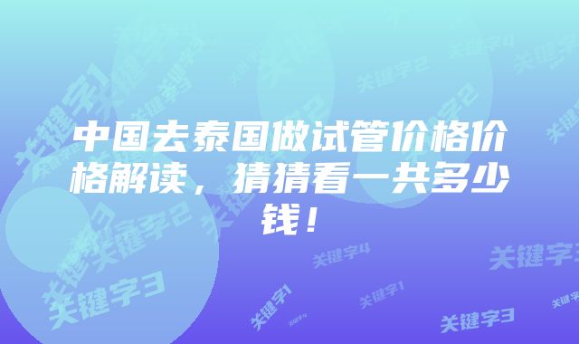 中国去泰国做试管价格价格解读，猜猜看一共多少钱！