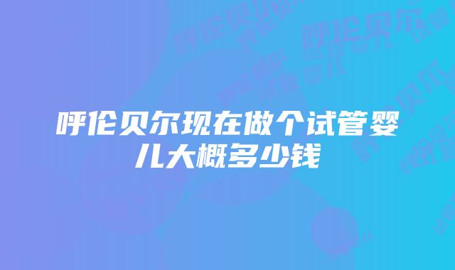 呼伦贝尔现在做个试管婴儿大概多少钱