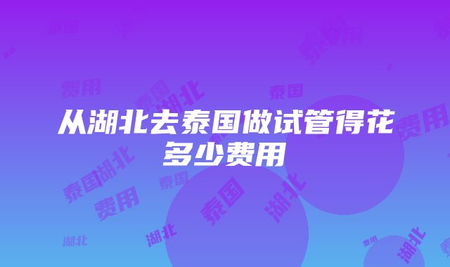 从湖北去泰国做试管得花多少费用