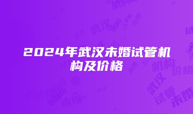 2024年武汉未婚试管机构及价格