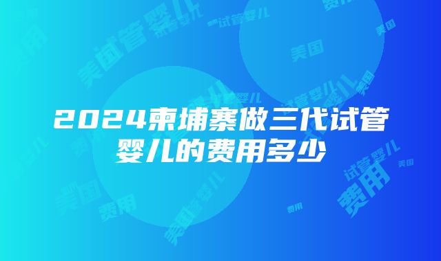 2024柬埔寨做三代试管婴儿的费用多少