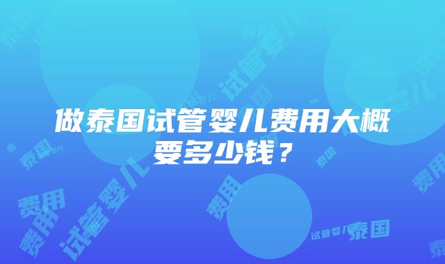 做泰国试管婴儿费用大概要多少钱？