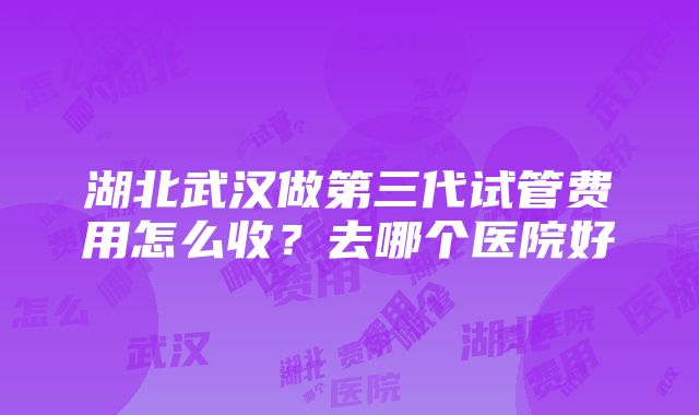 湖北武汉做第三代试管费用怎么收？去哪个医院好