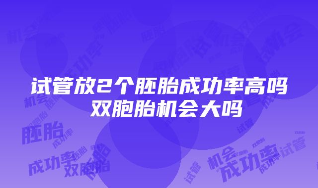 试管放2个胚胎成功率高吗 双胞胎机会大吗