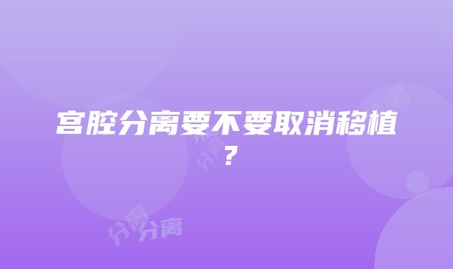 宫腔分离要不要取消移植？