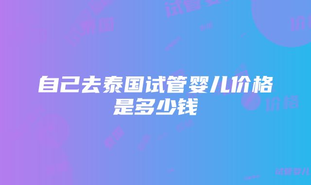 自己去泰国试管婴儿价格是多少钱