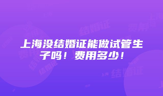 上海没结婚证能做试管生子吗！费用多少！