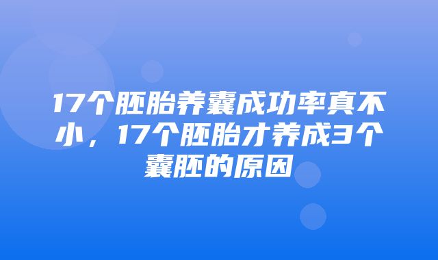 17个胚胎养囊成功率真不小，17个胚胎才养成3个囊胚的原因