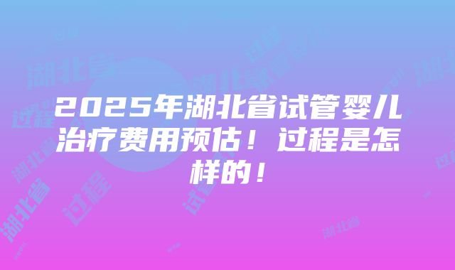 2025年湖北省试管婴儿治疗费用预估！过程是怎样的！