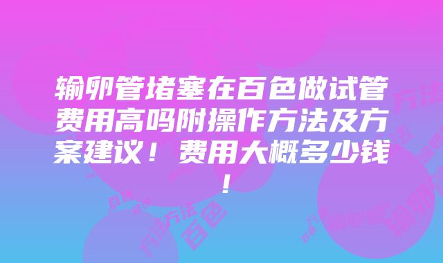 输卵管堵塞在百色做试管费用高吗附操作方法及方案建议！费用大概多少钱！