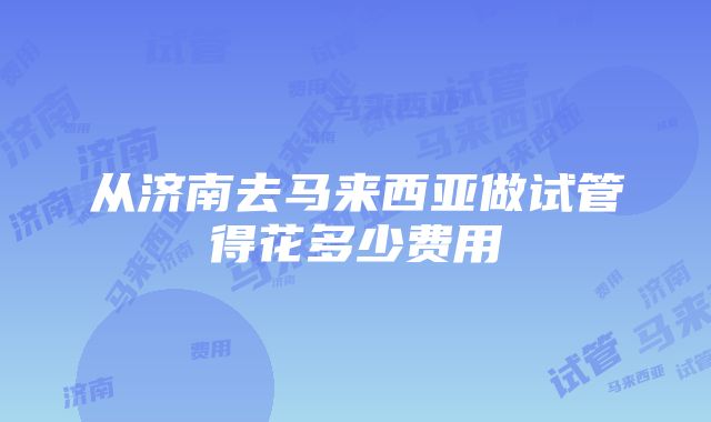 从济南去马来西亚做试管得花多少费用