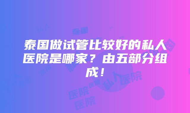 泰国做试管比较好的私人医院是哪家？由五部分组成！