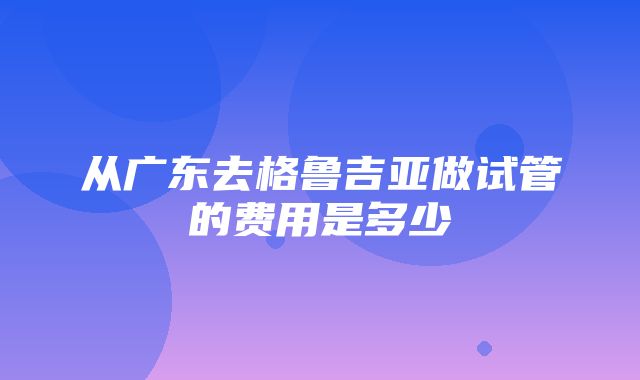 从广东去格鲁吉亚做试管的费用是多少