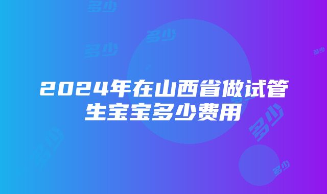 2024年在山西省做试管生宝宝多少费用