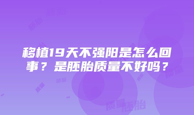 移植19天不强阳是怎么回事？是胚胎质量不好吗？