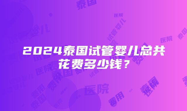 2024泰国试管婴儿总共花费多少钱？