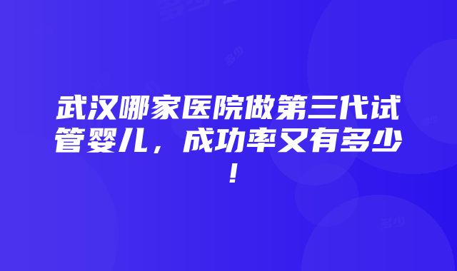 武汉哪家医院做第三代试管婴儿，成功率又有多少！