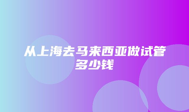 从上海去马来西亚做试管多少钱