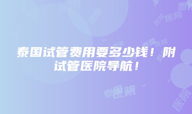 泰国试管费用要多少钱！附试管医院导航！