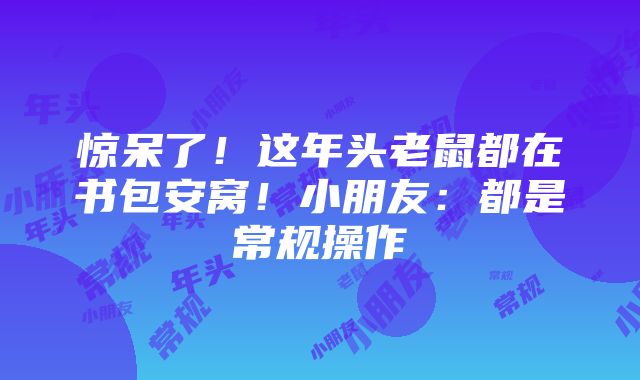 惊呆了！这年头老鼠都在书包安窝！小朋友：都是常规操作