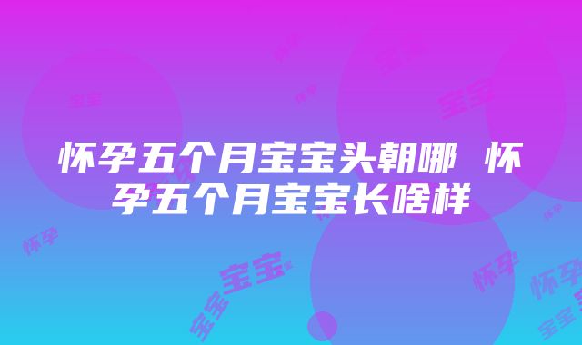 怀孕五个月宝宝头朝哪 怀孕五个月宝宝长啥样