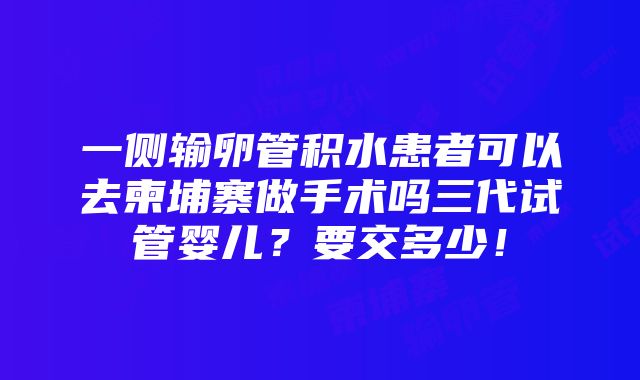 一侧输卵管积水患者可以去柬埔寨做手术吗三代试管婴儿？要交多少！