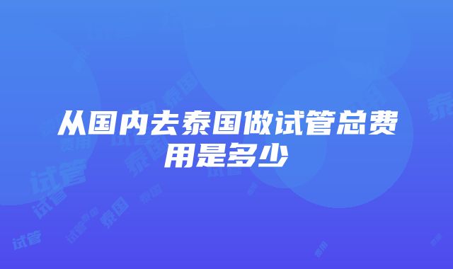 从国内去泰国做试管总费用是多少