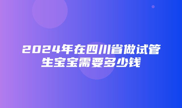 2024年在四川省做试管生宝宝需要多少钱