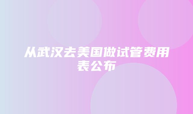 从武汉去美国做试管费用表公布