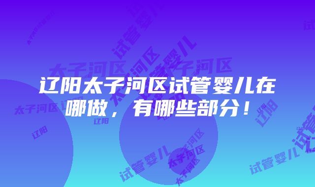 辽阳太子河区试管婴儿在哪做，有哪些部分！