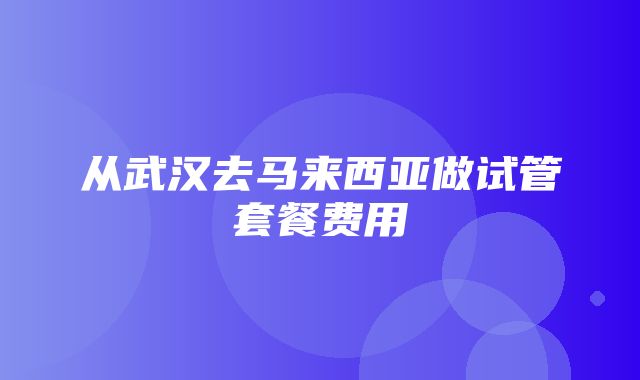 从武汉去马来西亚做试管套餐费用