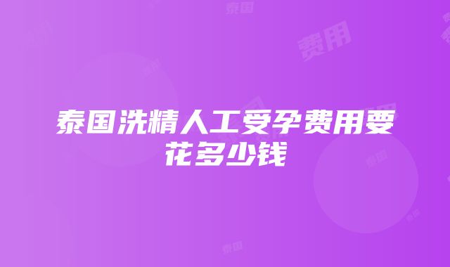 泰国洗精人工受孕费用要花多少钱