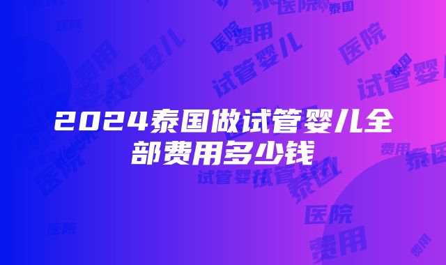 2024泰国做试管婴儿全部费用多少钱