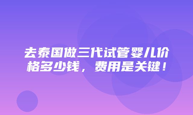 去泰国做三代试管婴儿价格多少钱，费用是关键！