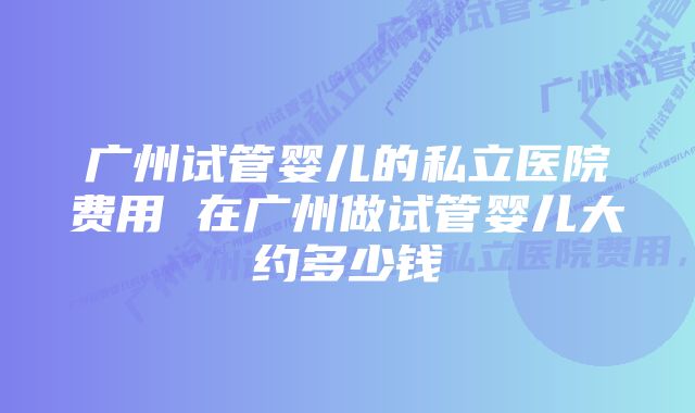 广州试管婴儿的私立医院费用 在广州做试管婴儿大约多少钱