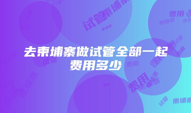 去柬埔寨做试管全部一起费用多少