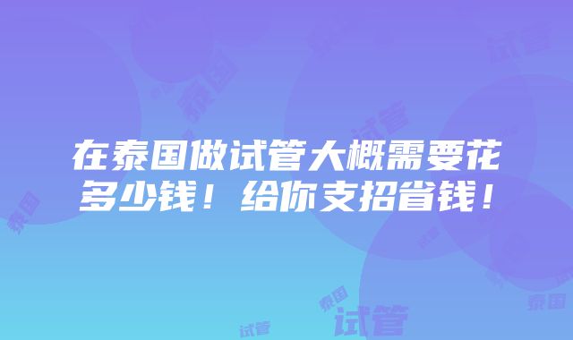 在泰国做试管大概需要花多少钱！给你支招省钱！