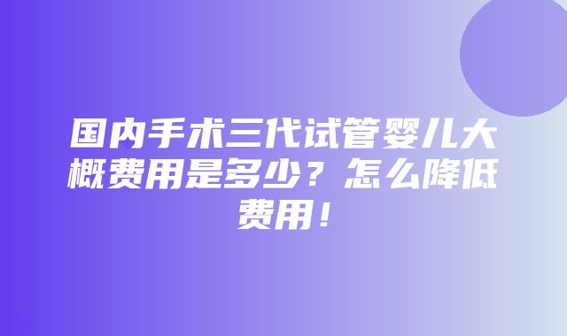 国内手术三代试管婴儿大概费用是多少？怎么降低费用！