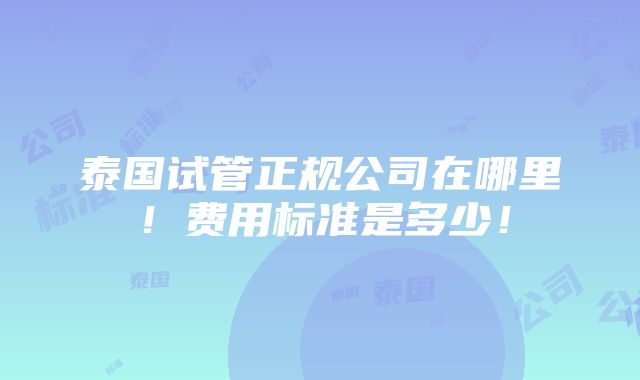 泰国试管正规公司在哪里！费用标准是多少！