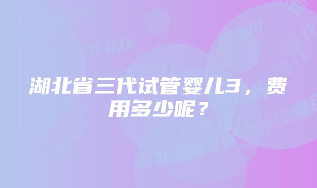 湖北省三代试管婴儿3，费用多少呢？