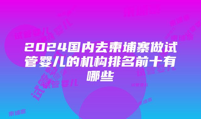 2024国内去柬埔寨做试管婴儿的机构排名前十有哪些