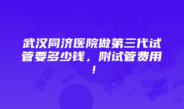 武汉同济医院做第三代试管要多少钱，附试管费用！